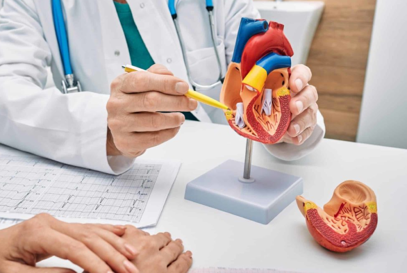 cardiologia