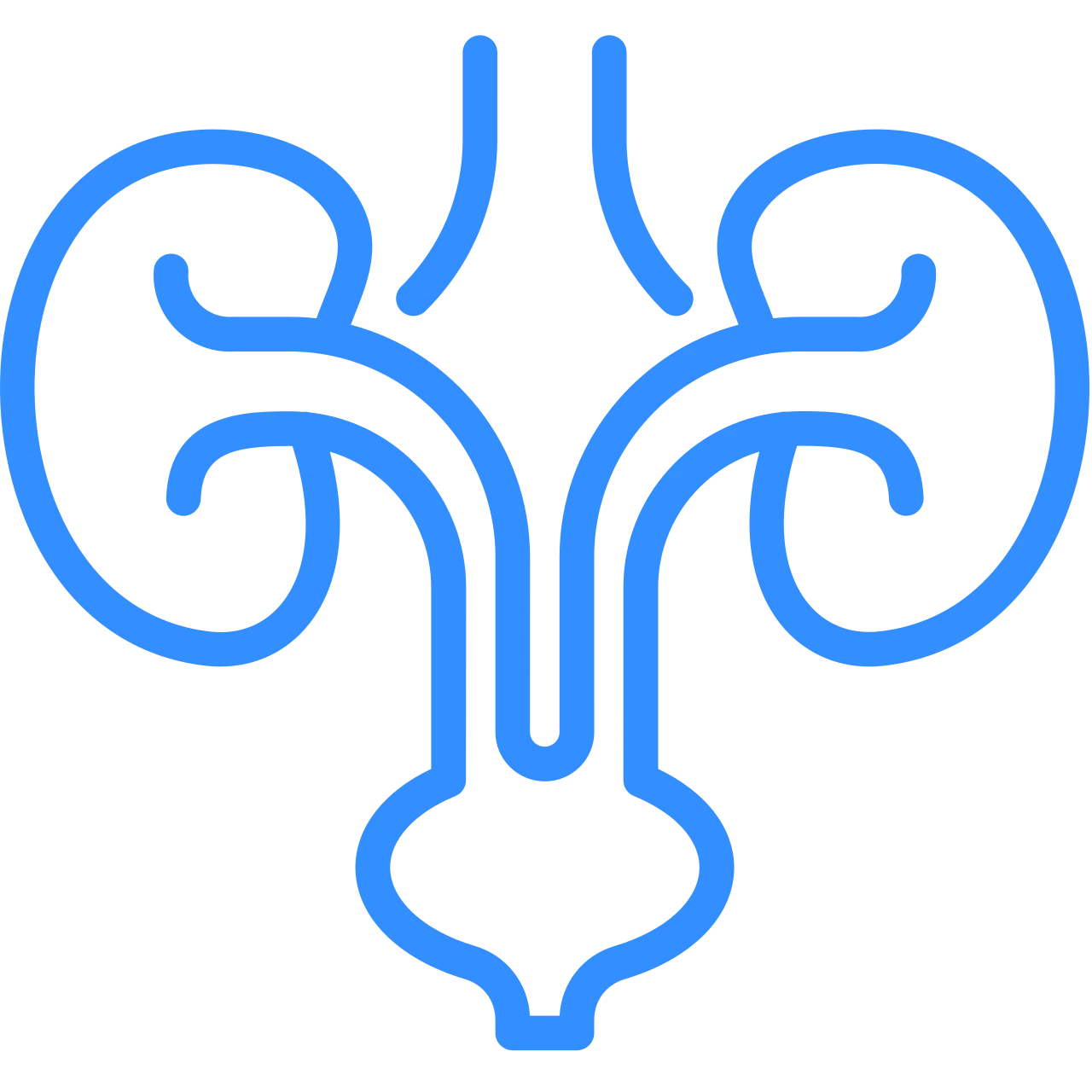 urologia